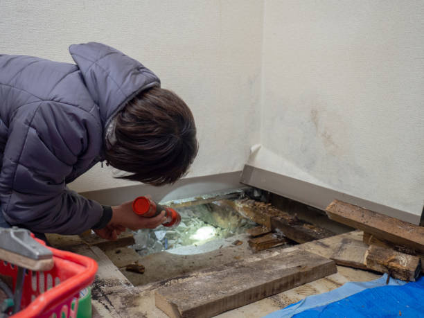 Best Biohazard Mold Removal  in Halfway House, PA