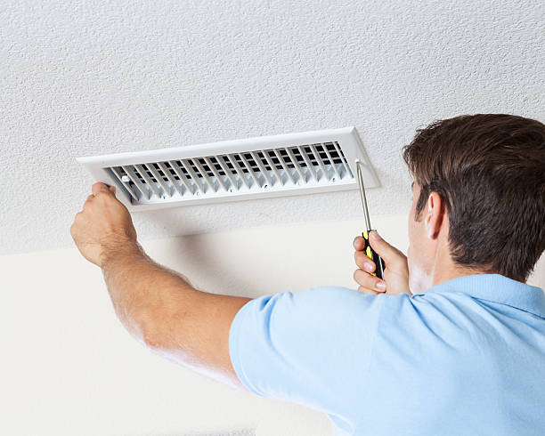 Reliable Halfway House, PA Mold Removal Solutions