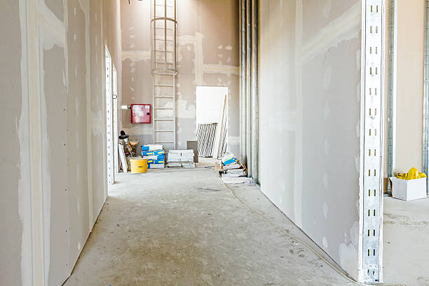 Best Mold Prevention Services  in Halfway House, PA